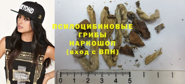 гидра Бугульма