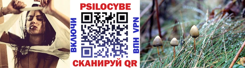 Псилоцибиновые грибы Psilocybe  Гороховец 